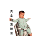 Little Cash's World（個別スタンプ：11）