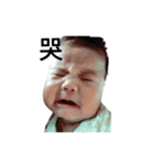 Little Cash's World（個別スタンプ：12）