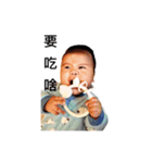 Little Cash's World（個別スタンプ：15）