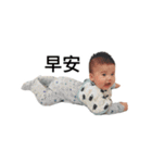 Little Cash's World（個別スタンプ：16）