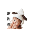 Little Cash's World（個別スタンプ：17）