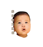 Little Cash's World（個別スタンプ：18）