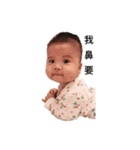 Little Cash's World（個別スタンプ：19）