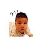Little Cash's World（個別スタンプ：24）