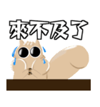 Puff squirrel 2（個別スタンプ：2）