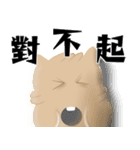 Puff squirrel 2（個別スタンプ：31）