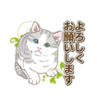 ねこねこ日和（個別スタンプ：5）