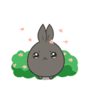 black black rabbit（個別スタンプ：3）