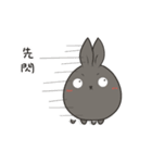 black black rabbit（個別スタンプ：4）