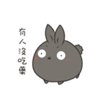 black black rabbit（個別スタンプ：10）