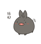 black black rabbit（個別スタンプ：12）