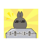 black black rabbit（個別スタンプ：13）