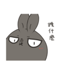 black black rabbit（個別スタンプ：14）