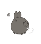 black black rabbit（個別スタンプ：15）