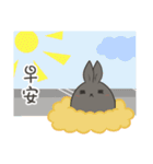 black black rabbit（個別スタンプ：18）