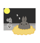 black black rabbit（個別スタンプ：19）