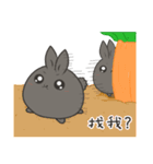 black black rabbit（個別スタンプ：22）