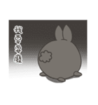 black black rabbit（個別スタンプ：27）