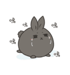 black black rabbit（個別スタンプ：31）