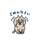 きじとらねこちゃん（個別スタンプ：6）