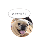 フレブルわさびのつぶやき（個別スタンプ：1）