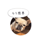 フレブルわさびのつぶやき（個別スタンプ：3）