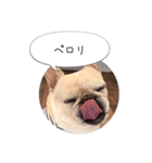 フレブルわさびのつぶやき（個別スタンプ：5）