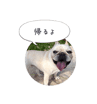 フレブルわさびのつぶやき（個別スタンプ：8）