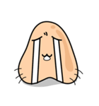 KAI-KUNG（個別スタンプ：2）