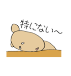 優柔不断くま（個別スタンプ：40）