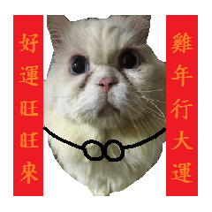 [LINEスタンプ] Old cat Happy Chinese New Year