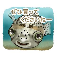 [LINEスタンプ] ノノの海洋世界 ( 日本語 )
