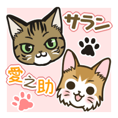 [LINEスタンプ] 可愛くて使いやすい☆猫のサランと愛之助2