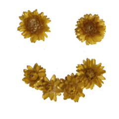 [LINEスタンプ] お花のかわいいスタンプ