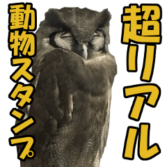 [LINEスタンプ] 凄く使いやすい動物達