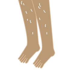 [LINEスタンプ] legs emotional