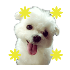 [LINEスタンプ] 大福犬