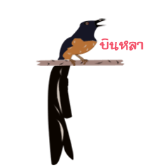 [LINEスタンプ] Binhla