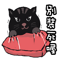 [LINEスタンプ] Cute Animals Love to cry bear