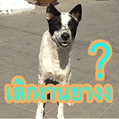[LINEスタンプ] mhaaTHAI : Have you finished work？