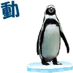 [LINEスタンプ] 動く！ペンギン