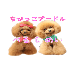 [LINEスタンプ] ちびちびプードル ベル＆メイ パート1