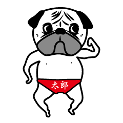 [LINEスタンプ] 田中 太郎 1 (パグ)