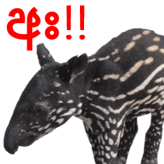 [LINEスタンプ] シンハラ語動物園2