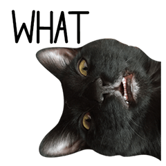 [LINEスタンプ] Sassy Cat Taters