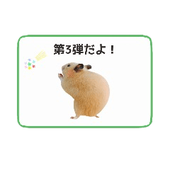 [LINEスタンプ] キンクマハムスターきなこ3