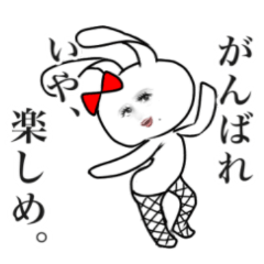 [LINEスタンプ] かわいい動物たちをご堪能