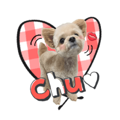 [LINEスタンプ] チワプーのAlu