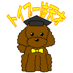 [LINEスタンプ] トイプーは天才