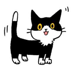 [LINEスタンプ] MIX猫 黒×白【ねこのきもち】の画像（メイン）